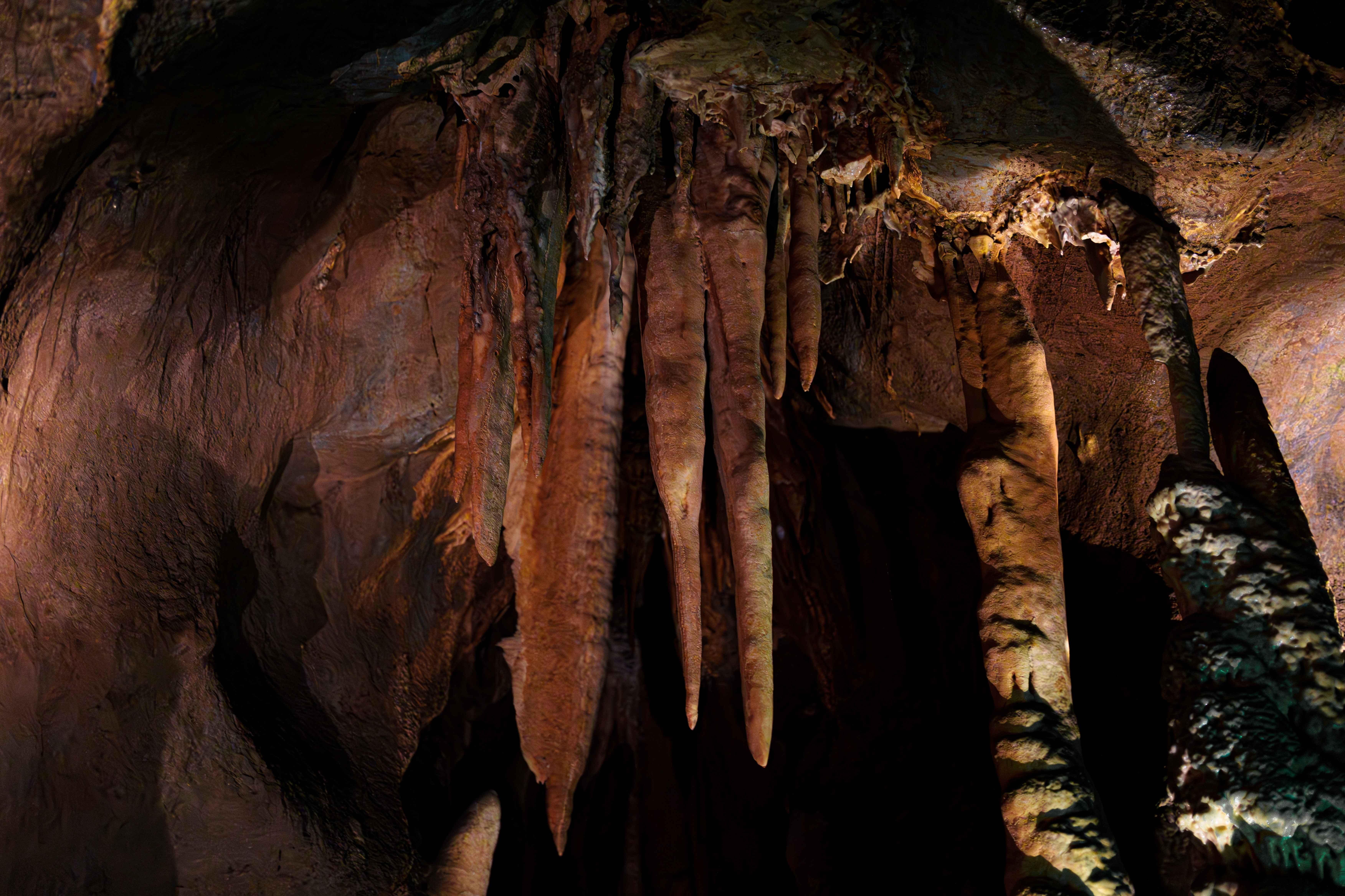 Danyang Nature Day Tour 4
