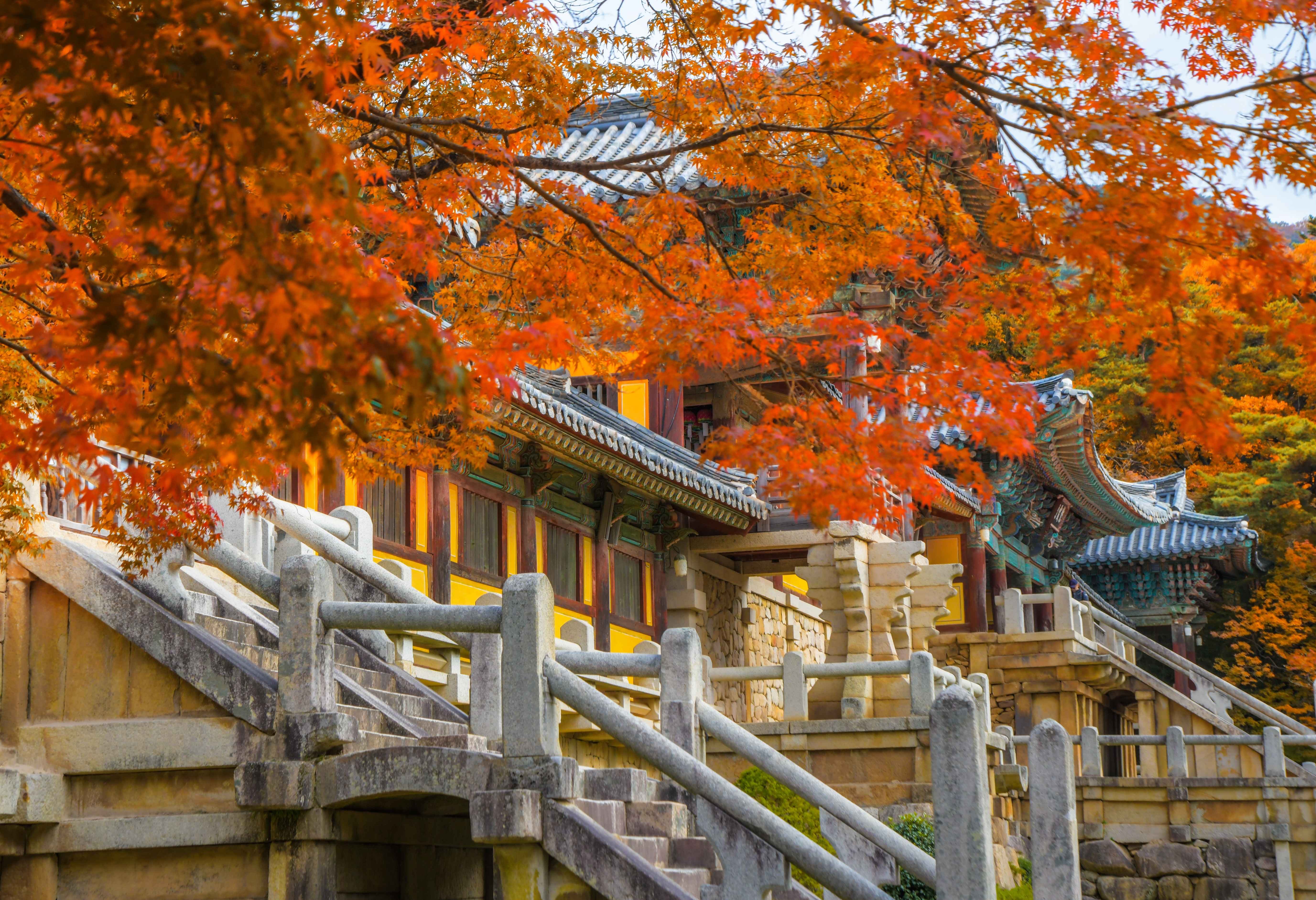 Gyeongju History Day Tour