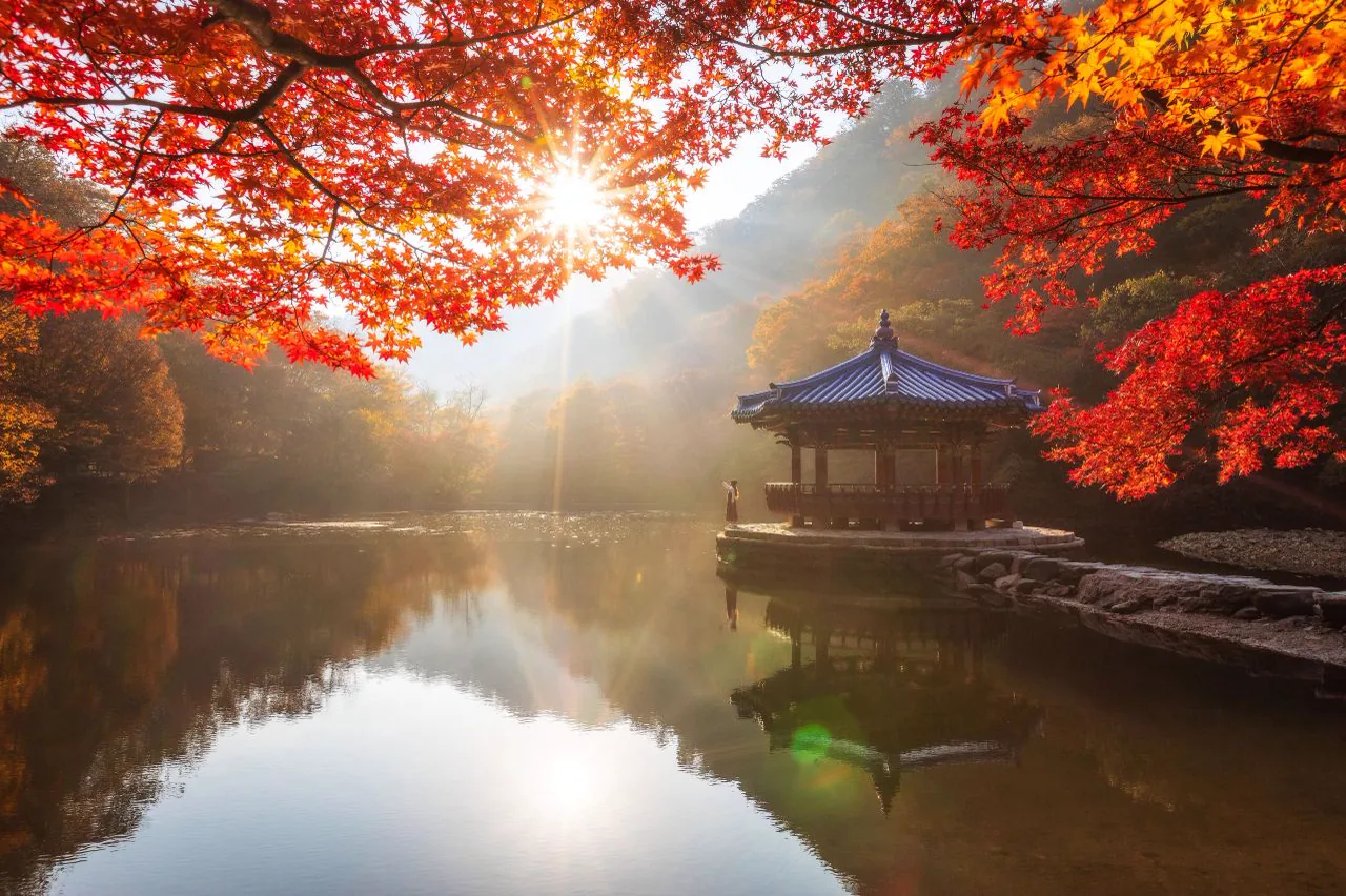 Best Autumn Foliage Spots in Korea 2026: A Fan's Guide