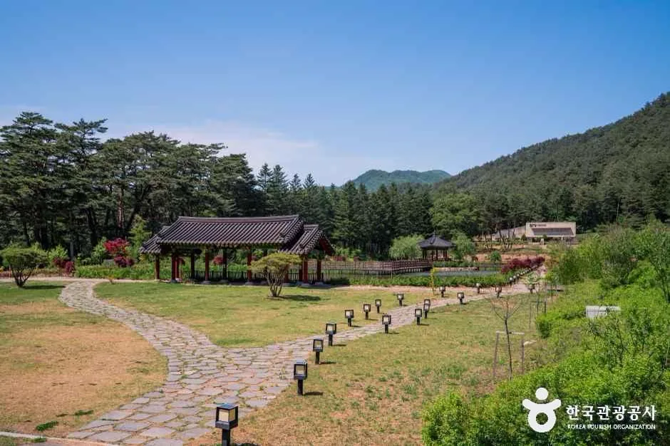 2026 Korea Winter Guide: Skiing, Ice Festivals & Street Food