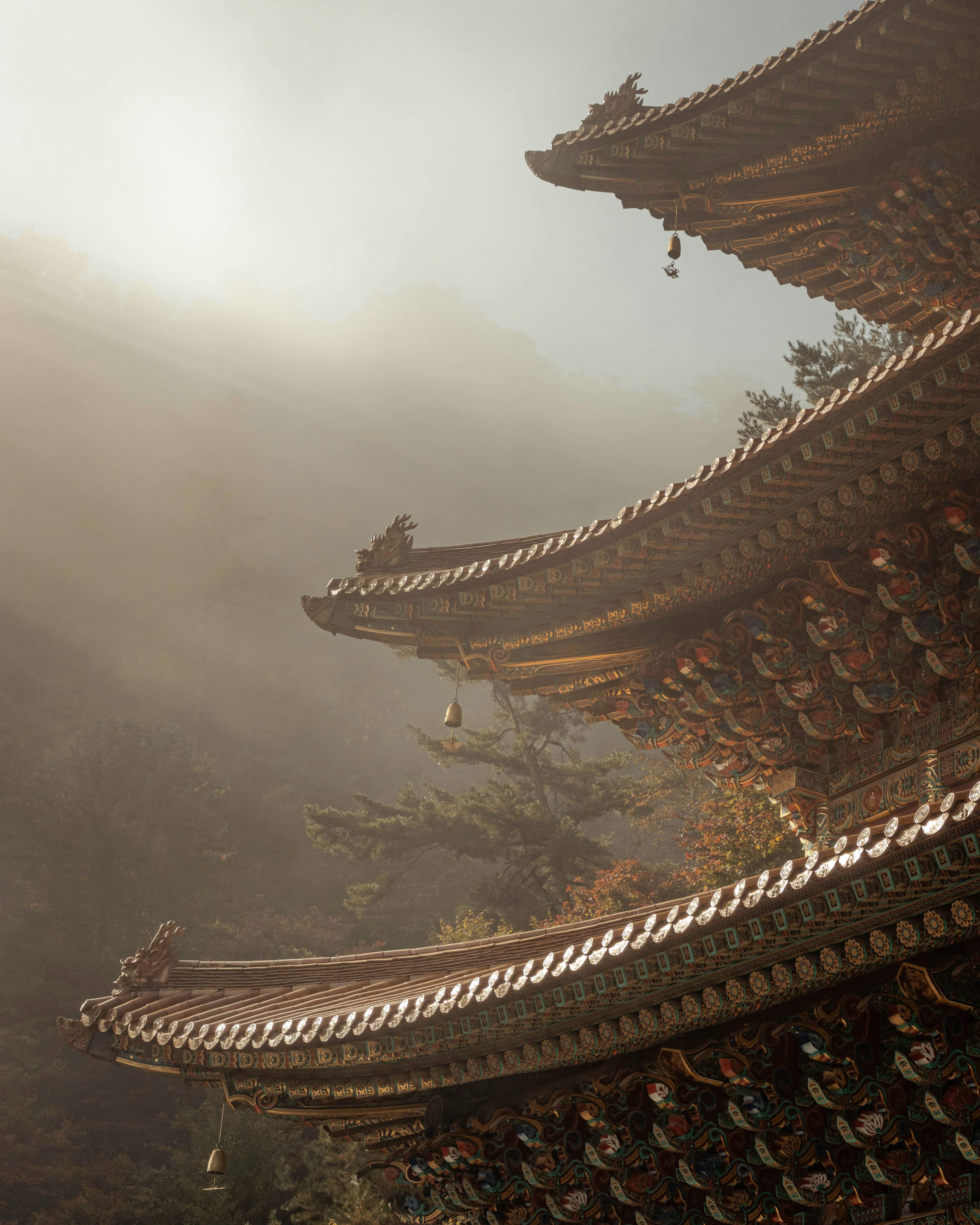 Danyang 10