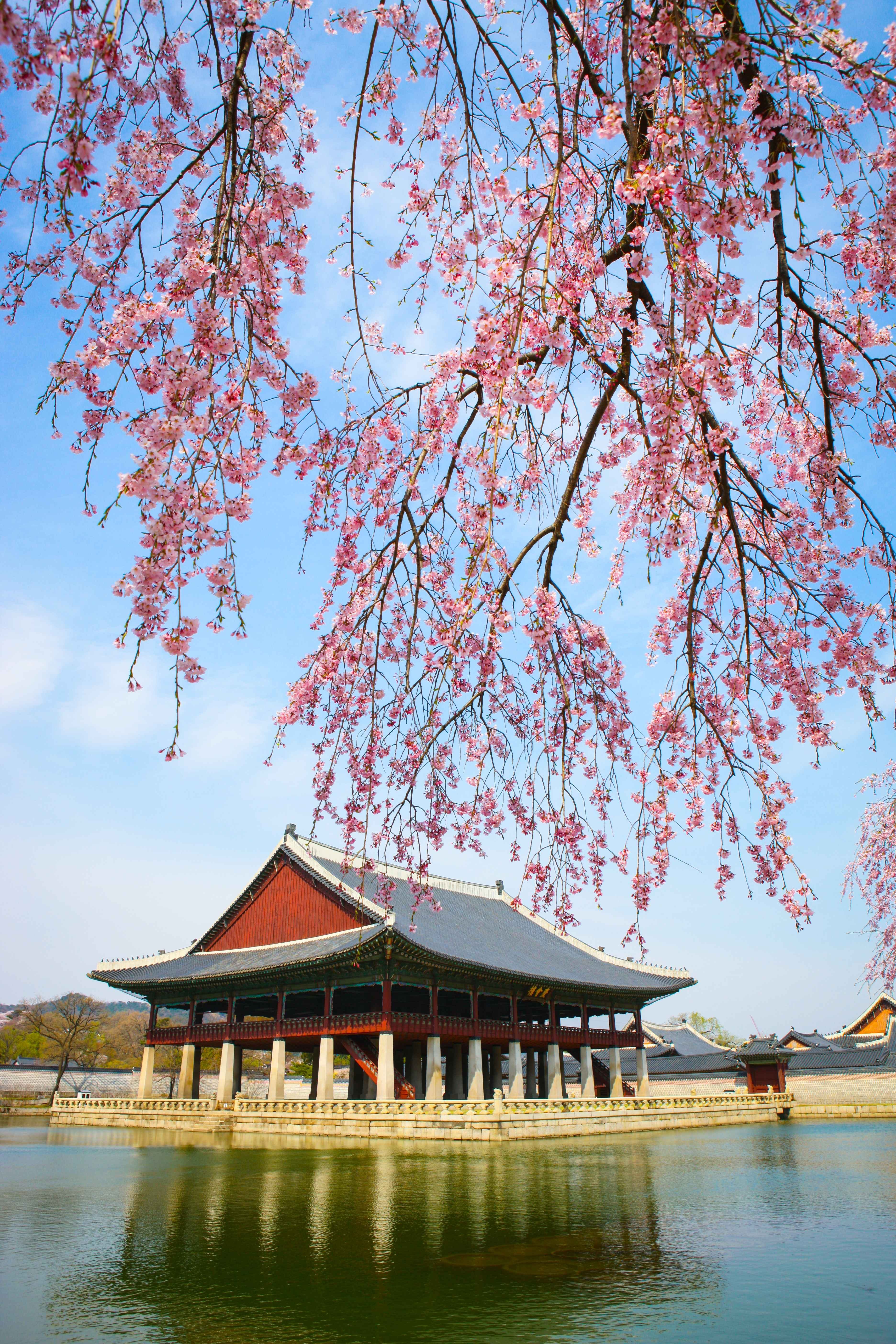Seoul